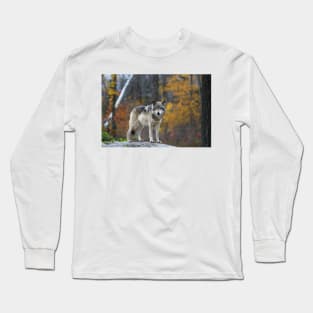 Timber Wolf Long Sleeve T-Shirt